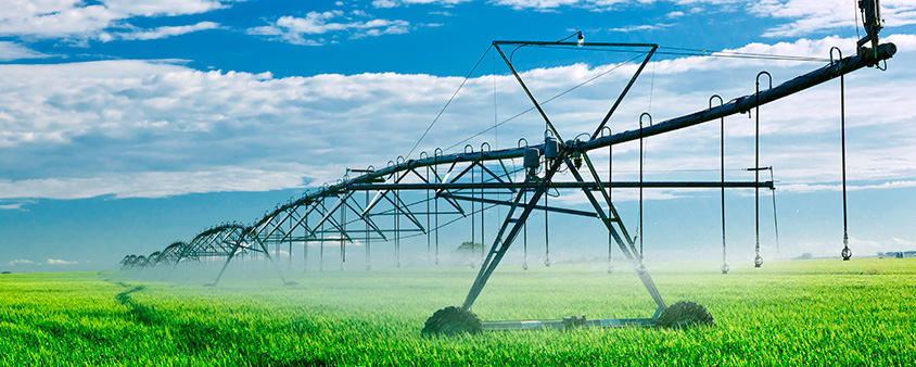 Irrigator